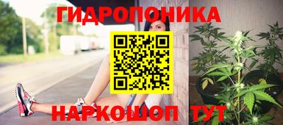 СК Заводоуковск
