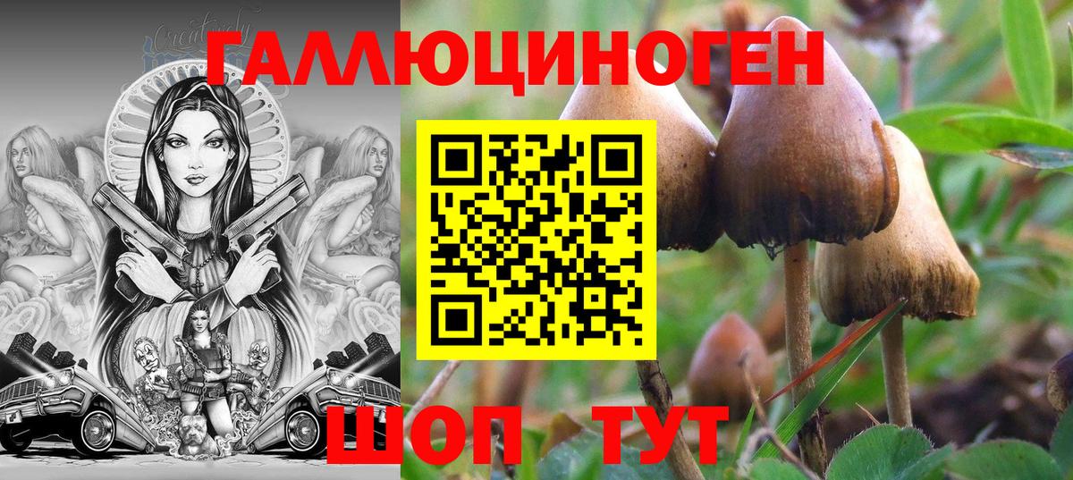 Псилоцибиновые грибы мухоморы  цена   Курган  Вход с VPN 